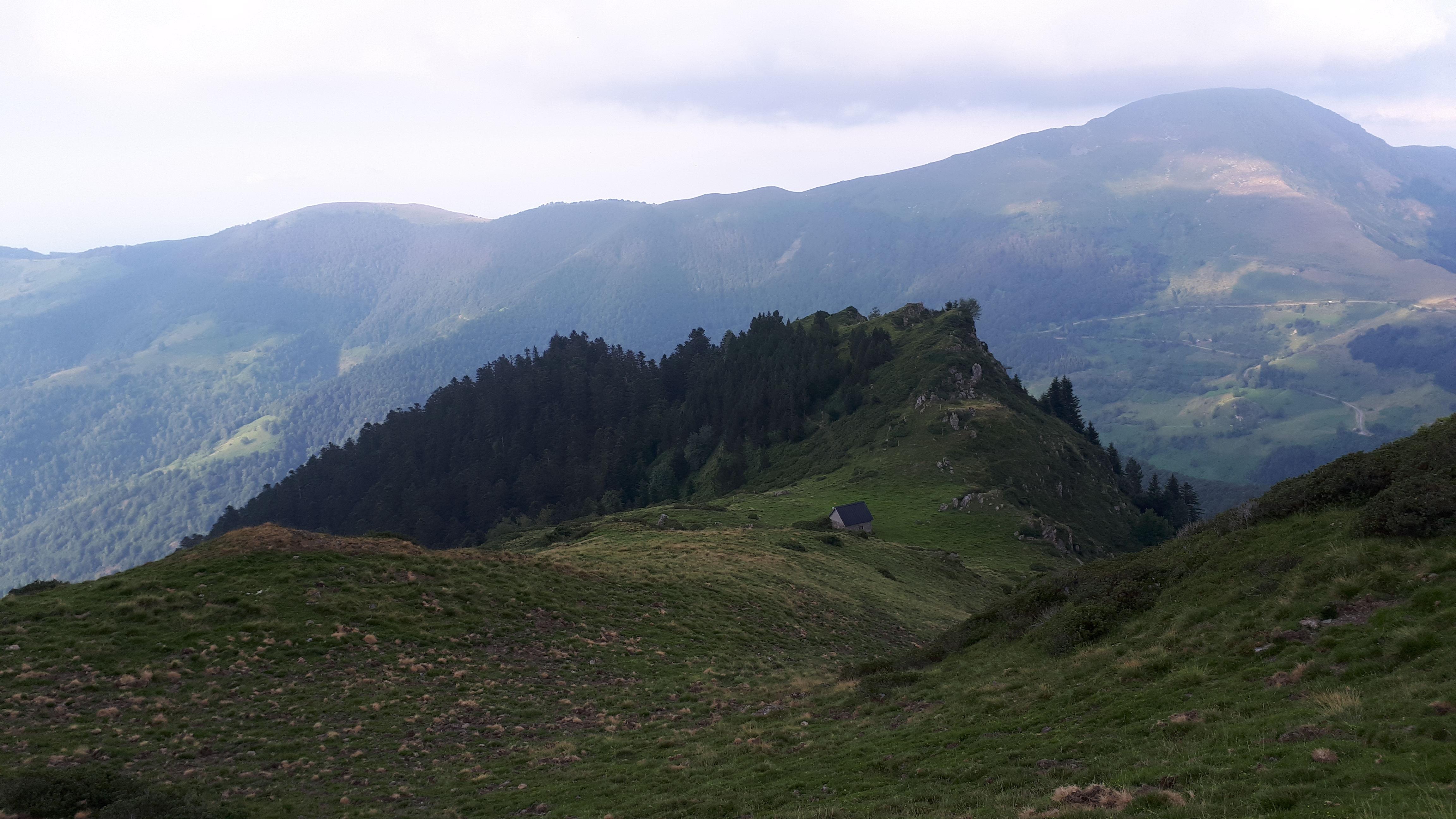 Sendero de montaña